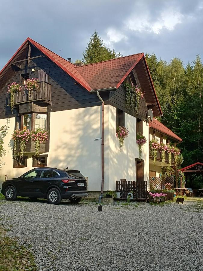Kocia Gorka Lägenhet Wisła Exteriör bild